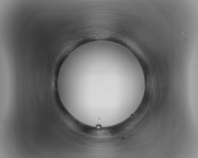 X0000113170501200909111037