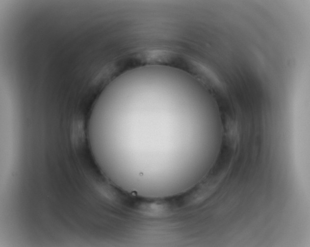 X0000113170506200909111037