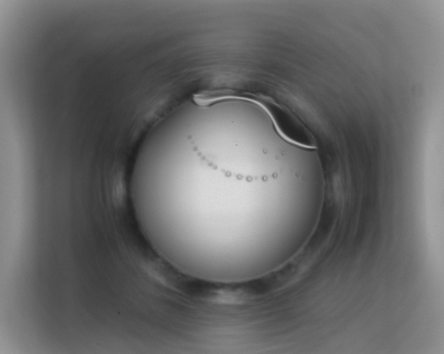 X0000113170508200909111037
