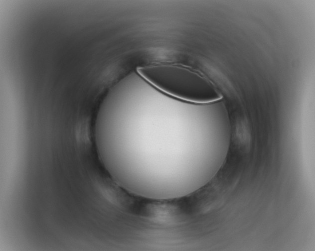 X0000113170512200909111037