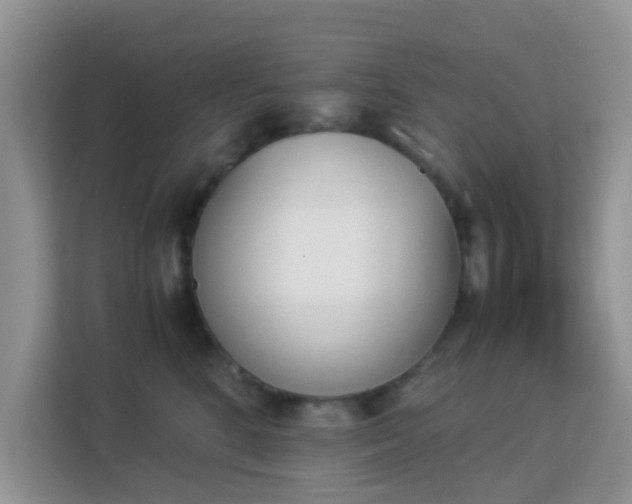 X0000113170520200909111037