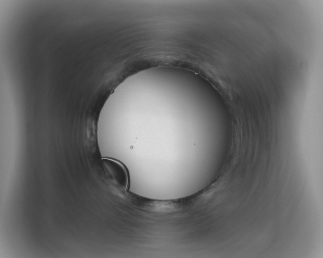 X0000113170528200909111037