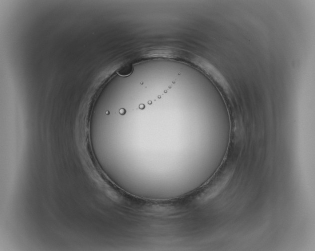 X0000113170529200909111036