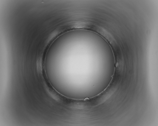 X0000113170530200909111036