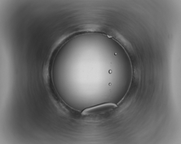 X0000113170532200909111036