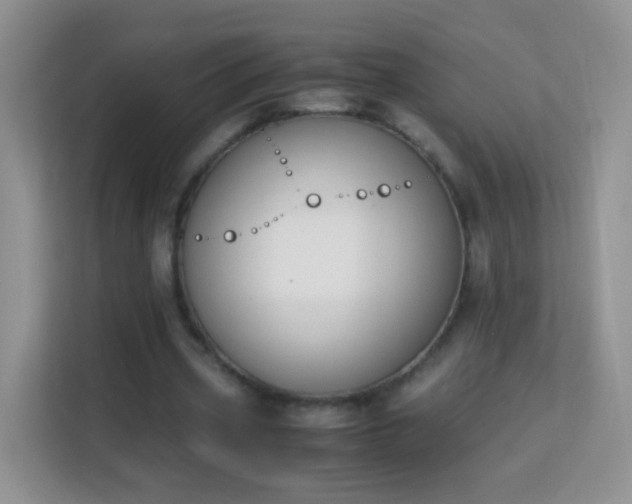 X0000113170533200909111036
