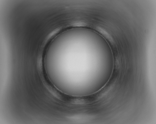 X0000113170535200909111036