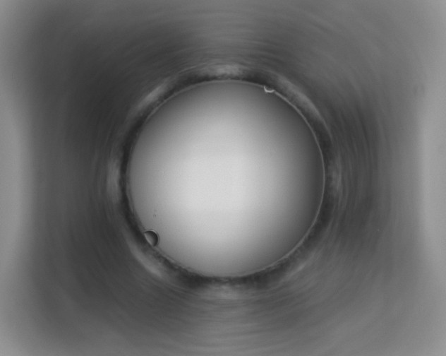 X0000113170538200909111036
