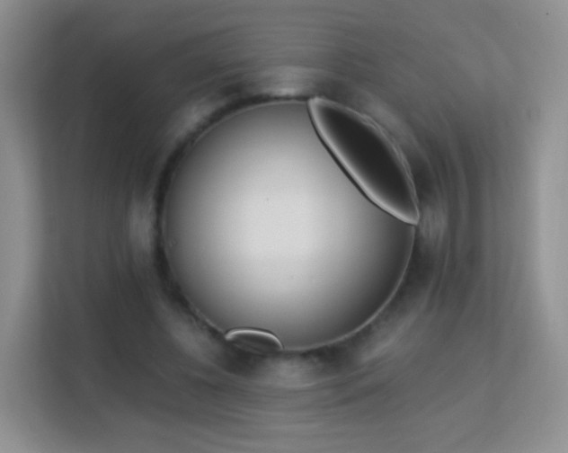 X0000113170540200909111036