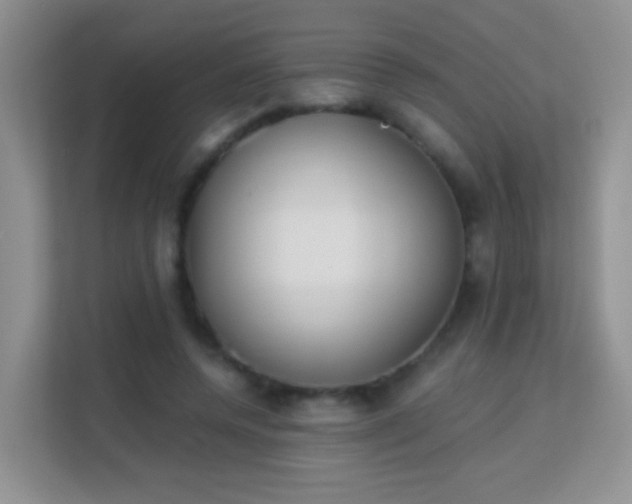 X0000113170544200909111036