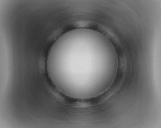X0000113170545200909111036