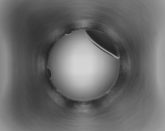 X0000113170546200909111036