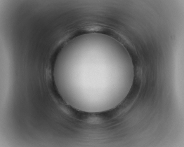 X0000113170547200909111036
