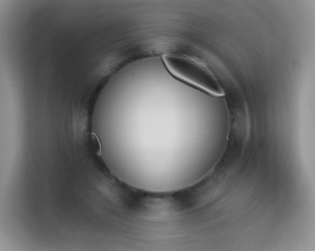 X0000113170548200909111036