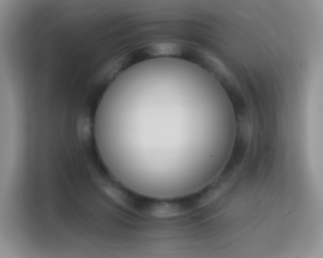 X0000113170549200909111036