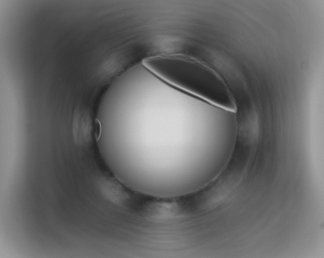 X0000113170552200909111036