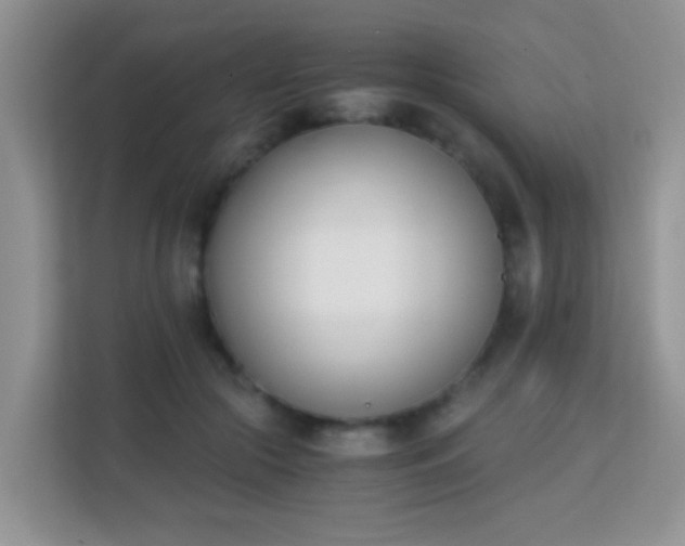X0000113170553200909111036