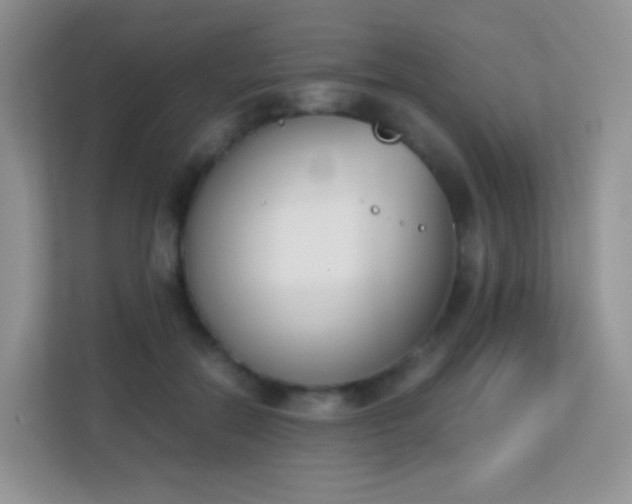 X0000113170554200909111036