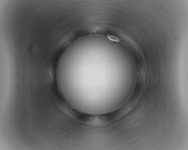 X0000113170558200909111037