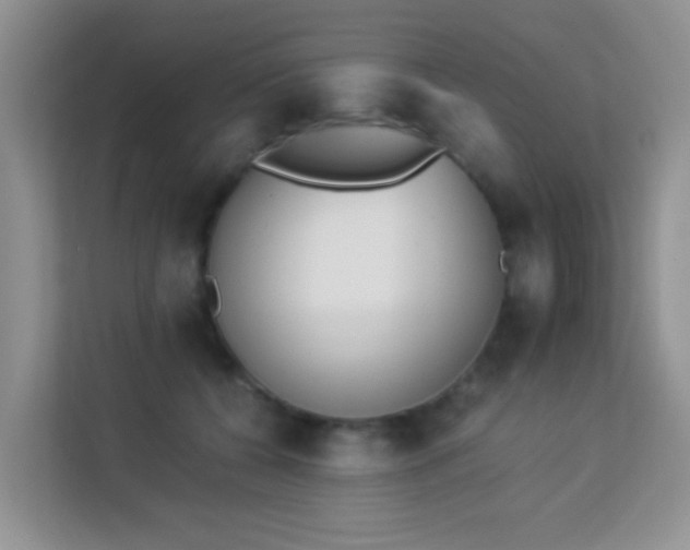 X0000113170560200909111037