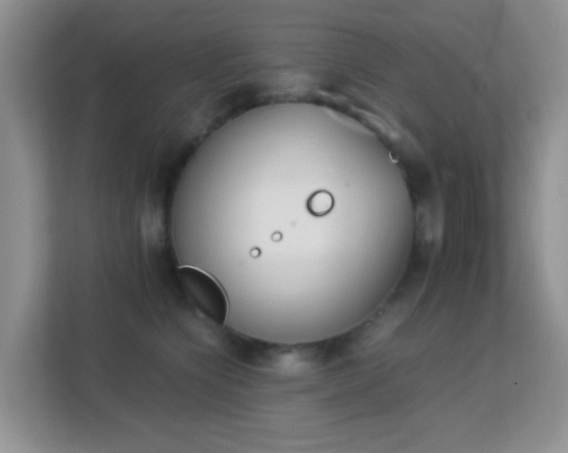 X0000113170564200909111037
