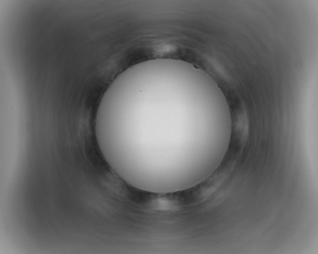 X0000113170565200909111037