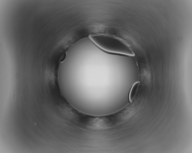 X0000113170566200909111037