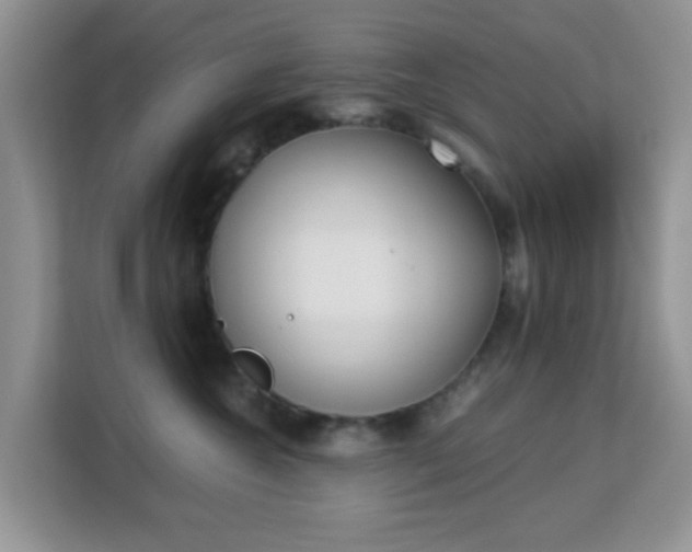 X0000113170572200909111037