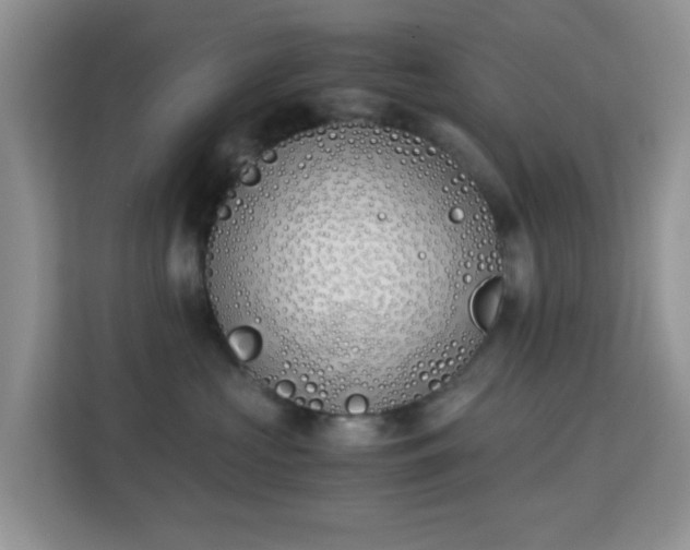 X0000113170573200909111037