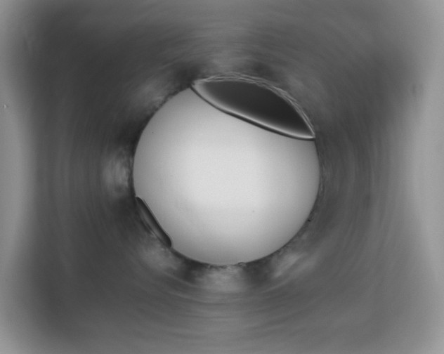 X0000113170576200909111037