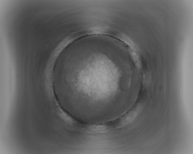 X0000113170577200909111036