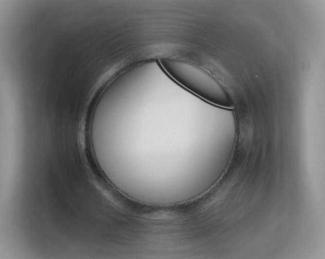 X0000113170578200909111036