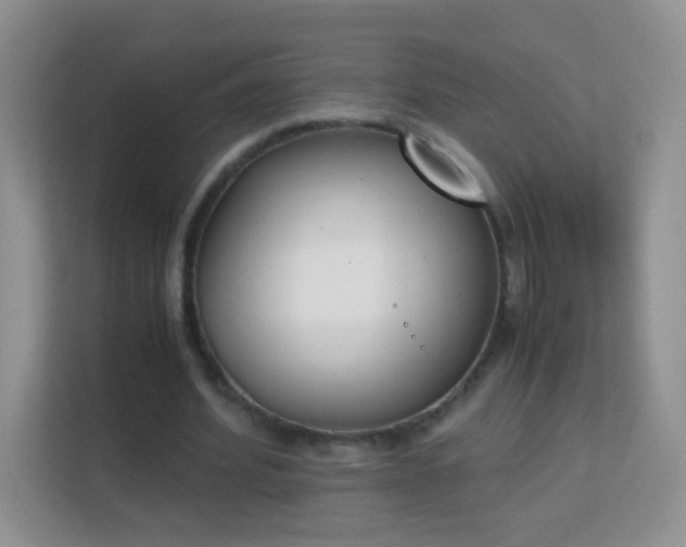 X0000113170580200909111036