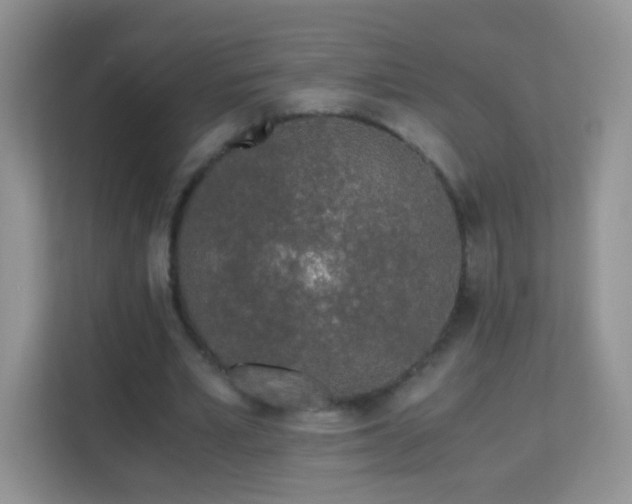 X0000113170581200909111036