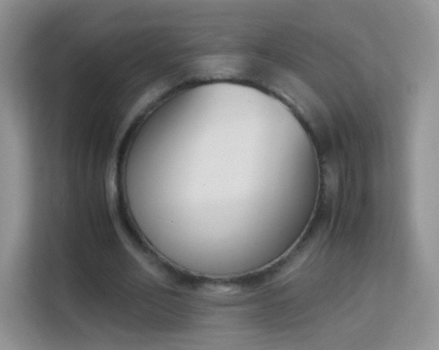 X0000113170582200909111036