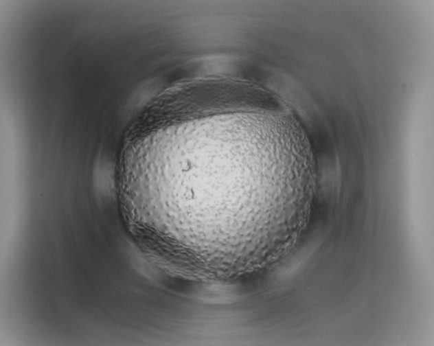 X0000113170585200909111036