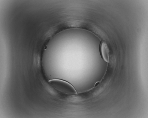 X0000113170589200909111036