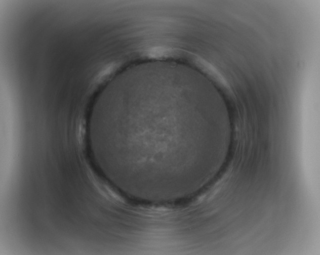 X0000113170592200909111036