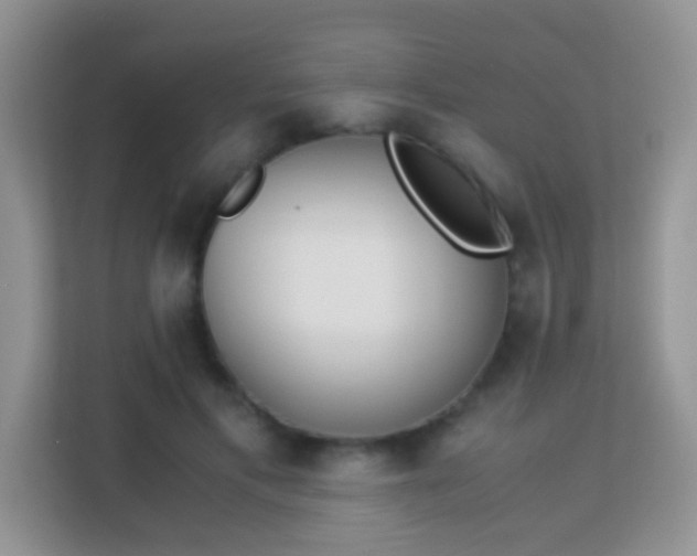 X0000113170597200909111036