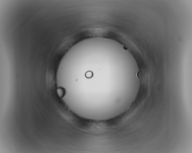 X0000113170599200909111036
