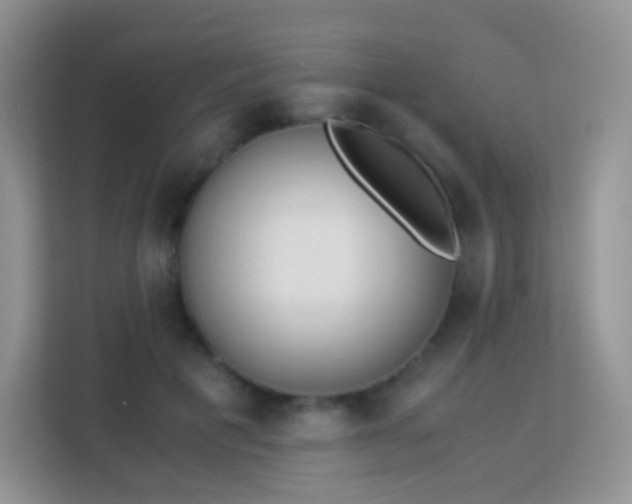 X0000113170601200909111036
