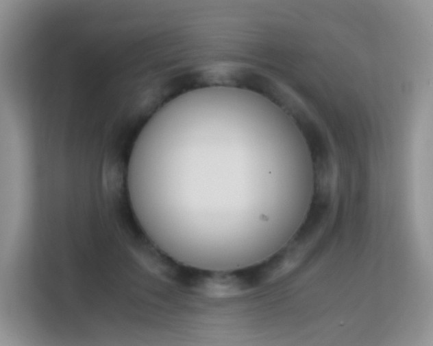 X0000113170603200909111036