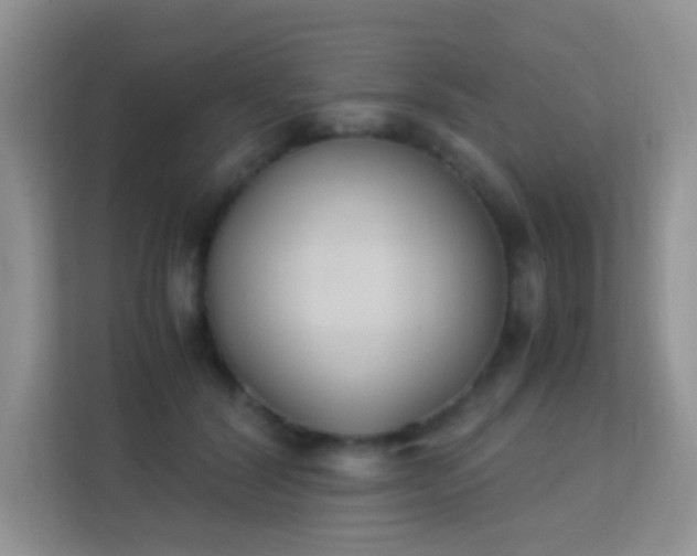 X0000113170604200909111036