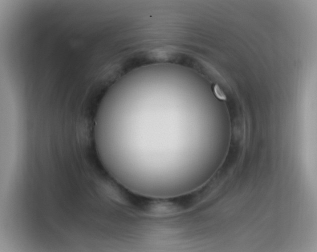 X0000113170605200909111036