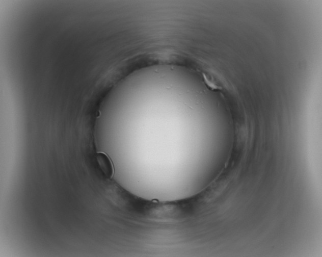 X0000113170609200909111036