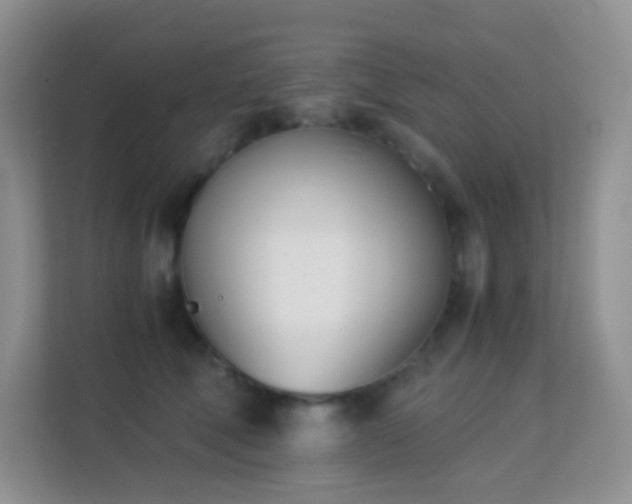 X0000113170610200909111036
