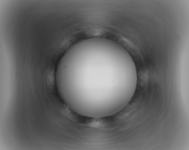 X0000113170612200909111036