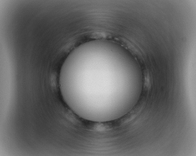 X0000113170616200909111036