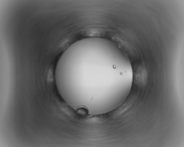 X0000113170620200909111036
