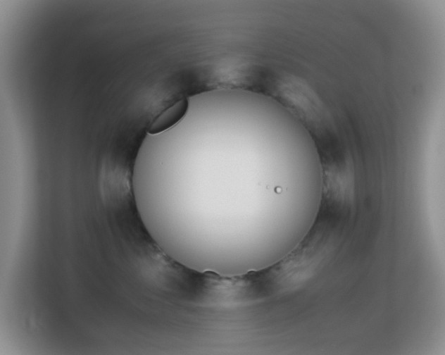X0000113170621200909111036